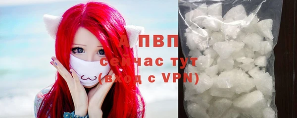 молекула духа Балахна