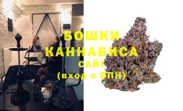 молекула духа Балахна